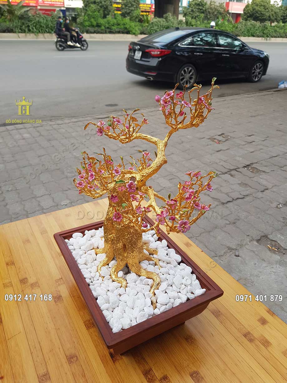 Đ&agrave;o Thất Thốn c&oacute; d&aacute;ng b&eacute; nhỏ, gốc c&acirc;y x&ugrave; x&igrave;, mốc meo, th&acirc;n c&acirc;y v&ocirc; c&ugrave;ng rắn rỏi
